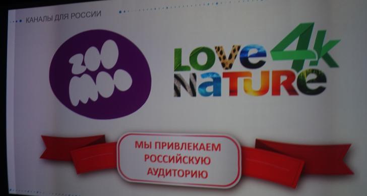 Канадский медиахолдинг Blue Ant Media объявил о начале дистрибуции телеканалов Love Nature 4K и ZooMoo в России