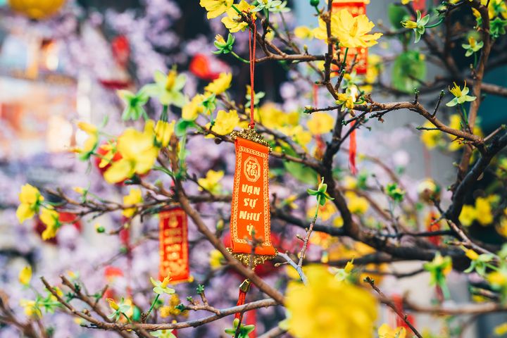 Вьетнамский Новый 2019 год: какого числа, особенности празднования