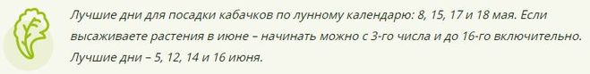 
		Когда сажать кабачки в открытый грунт в 2019 году по лунному календарю? Благоприятные дни для посадки	