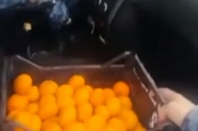 В МВД прокомментировали поездку обиженных полицейских за мандаринами