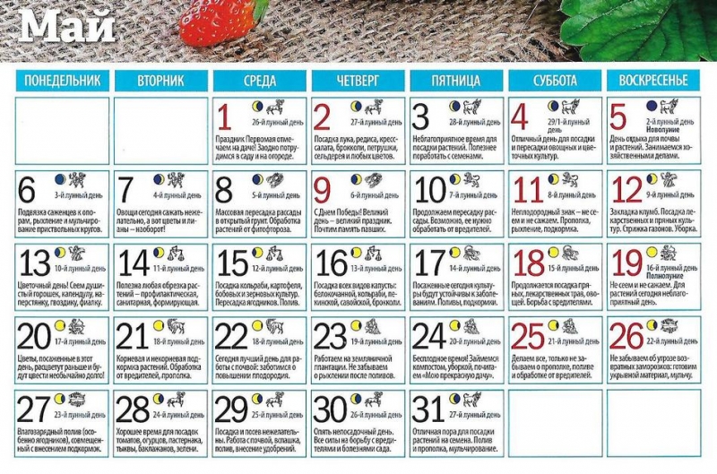 Лунный посевной календарь на 2019 год садовода и огородника – таблица