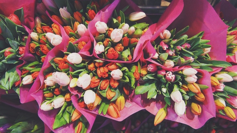 В Ленобласти к 8 марта вырастили два миллиона роз и тюльпанов