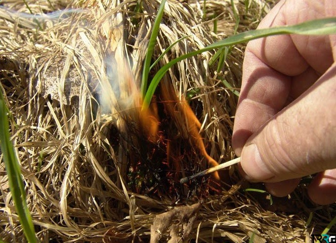 Штраф за поджог травы в 2019 году в России существенно увеличится
