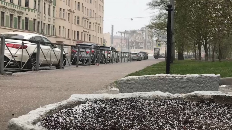 Мокрый снег и сильный ветер обещают в Петербурге в субботу