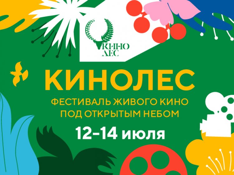 Кинолес 2019: программа кинофестиваля