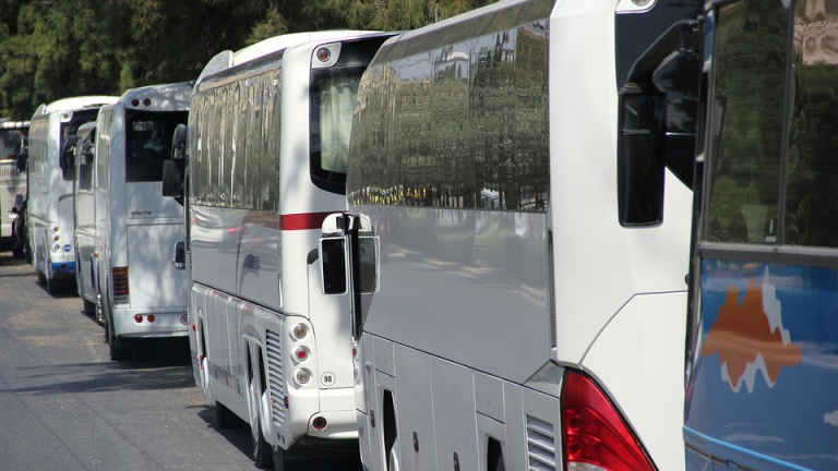 Парковка для туристических автобусов у «Петергофа» и «Ораниенбаума» стала бесплатной