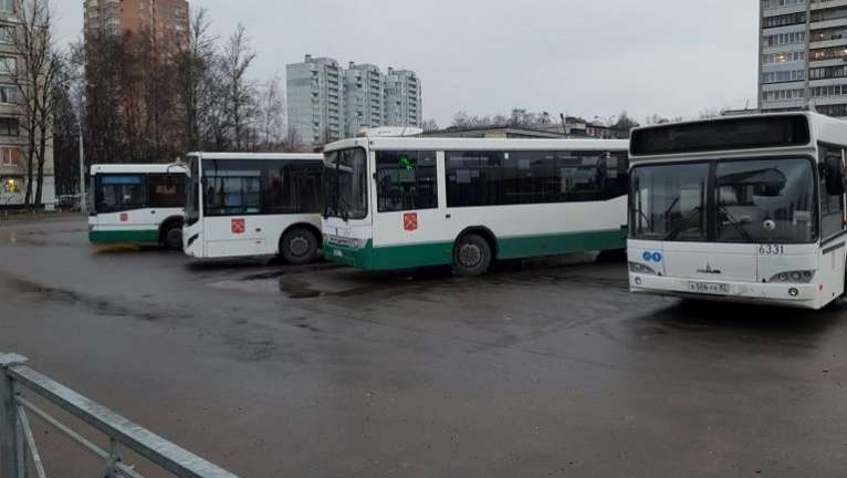 Кудрово и проспект Большевиков свяжет новый автобусный маршрут