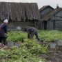 Министр посоветовала малоимущим заняться огородом