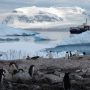 Петербургские депутаты предложили отмечать День открытия Антарктиды