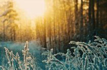 День зимнего солнцестояния в 2018 году — ритуалы, традиции