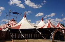 Международный день цирка. Интересные факты и цирковые приметы