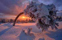 Как правильно загадывать желания 21 декабря 2018 в день зимнего солнцестояния