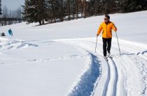 Петербургские лыжники отметят День снега в Орехово и в Шапках