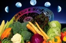 Лунный календарь садовода и огородника на март 2019 года: благоприятные дни