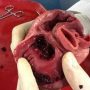Ученые напечатали живое сердце на 3D-принтере