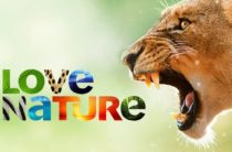 Телеканал Love Nature 4К перевели на русский язык