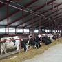 Лучшая инвестновость дня: В Кировской области создадут мощный молочный комплекс
