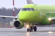 СМИ: Рейс из Москвы в Петербург задержали из-за птиц