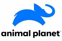 Российская версия Animal Planet сменила логотип и миссию
