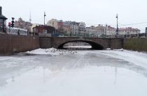 Синоптики обещали Петербургу ветреную погоду в начале следующей недели