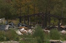 Как сейчас выглядит сгоревшая конюшня в Ленобласти, где погибли 9 лошадей