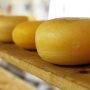 Петербургские эксперты рассказали о способах подделки сыра