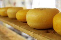 Петербургские эксперты рассказали о способах подделки сыра