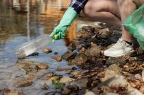 Петербуржцы очистят от мусора Шуваловский карьер и берега Финского залива