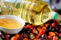 Петербург отменит налоговые льготы производителям пальмового масла