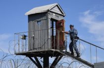 Законопроект об изоляции «воров в законе» в тюрьмах внесен в Госдуму