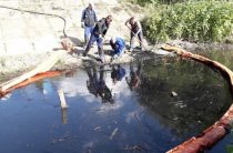 Более 7 тонн загрязненных нефтью мусора и воды собрали в Петербурге за неделю