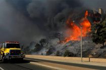 Пожары в Калифорнии не прекращаются — последние новости на сегодня 20.11.2018
