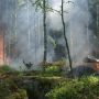 В трех регионах Сибири объявлен режим ЧС из-за лесных пожаров