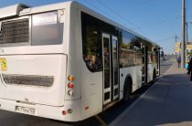 Автобусы в Петергофе изменят маршруты на время проведения дорожных работ