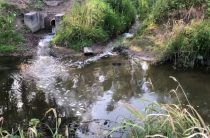 Росприроднадзор установил предположительного виновника сброса сточных вод в Оккервиль