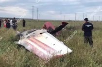 СК показал видео с места жесткой посадки Як-55 в Самарской области, при которой погиб пилот