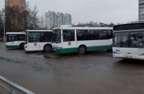 Кудрово и проспект Большевиков свяжет новый автобусный маршрут